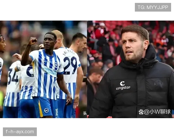 布莱顿本赛季表现稳健,竞争力持续提升 布莱顿本赛季表现稳健,竞争力持续提升